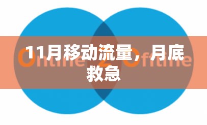 11月移动流量，月底救急