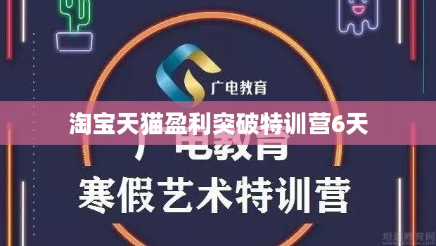 淘宝天猫盈利突破特训营6天