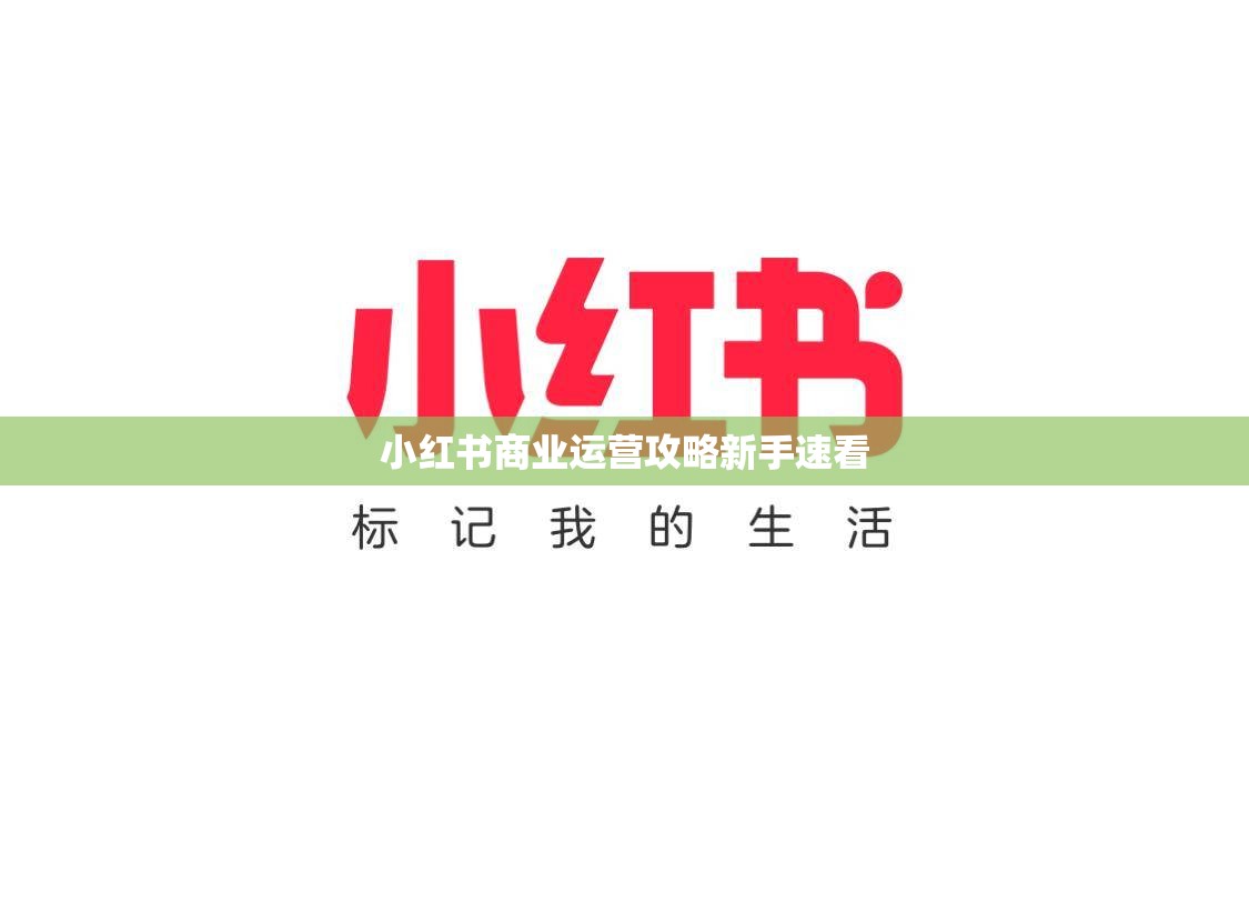 小红书商业运营攻略新手速看