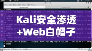 Kali安全渗透+Web白帽子高级工程师+黑客攻防 - 带源码课件