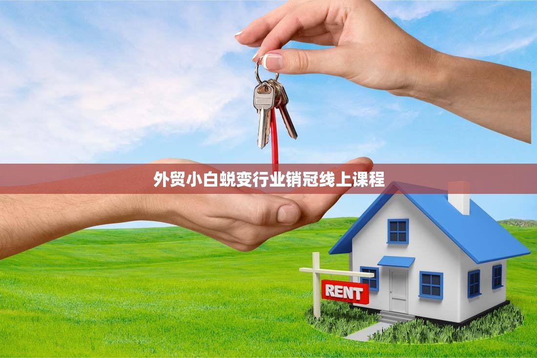 外贸小白蜕变行业销冠线上课程