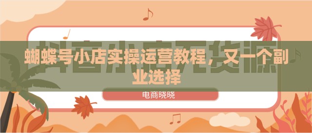 蝴蝶号小店实操运营教程，又一个副业选择