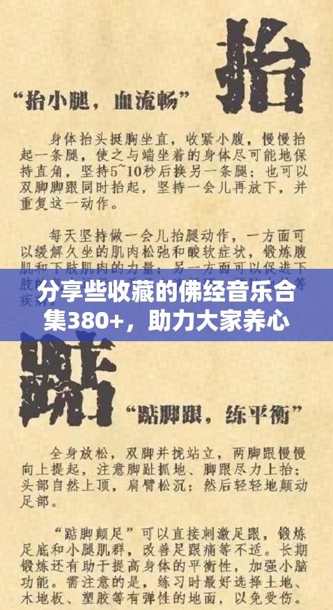 分享些收藏的佛经音乐合集380+，助力大家养心降躁，超品音质6.55G-无需解压直接听