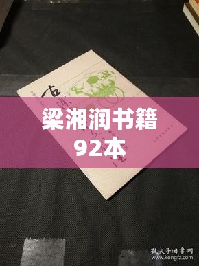 梁湘润书籍92本