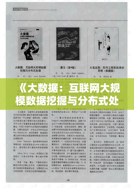 《大数据：互联网大规模数据挖掘与分布式处理》